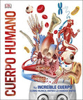 CUERPO HUMANO