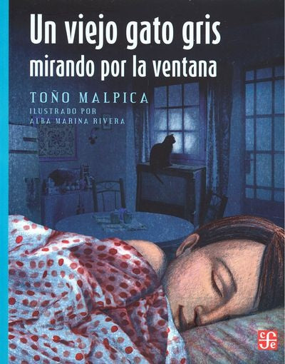 UN VIEJO GATO GRIS MIRANDO POR LA VENTANA | TOÑO MALPICA MAURY