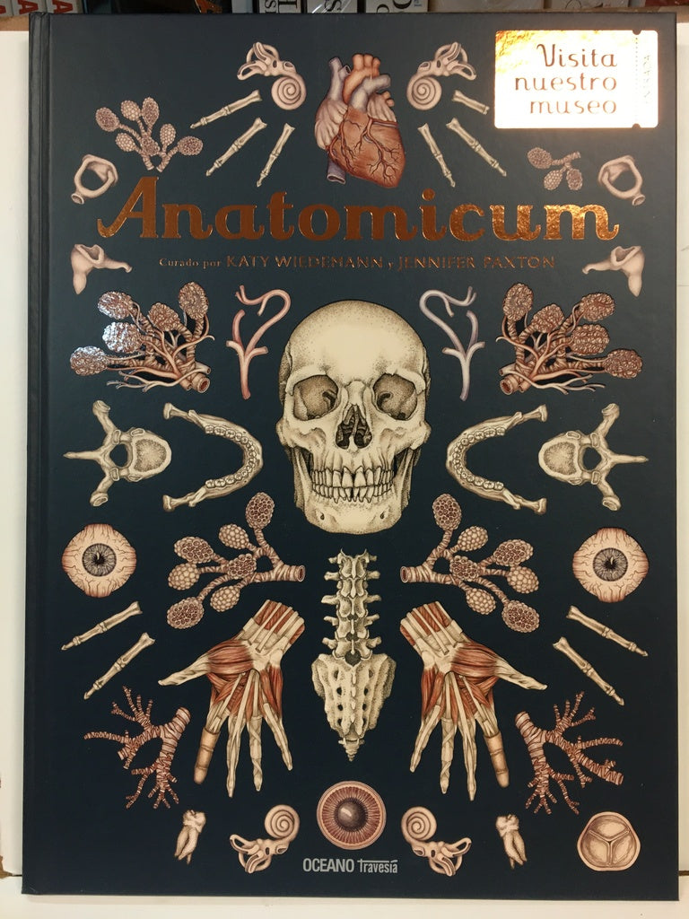 Anatomicum | Katy Wiedemann y Jennifer Z. Paxton
