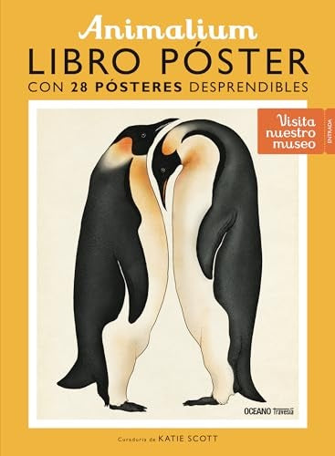 ANIMALIUM | KATIE SCOTT