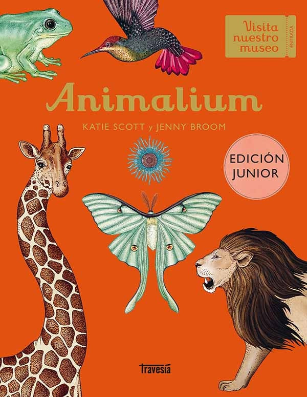 ANIMALIUM | JENNY BROOM