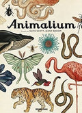 Animalium | Jenny Broom -  Katie Scott