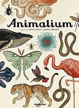 Animalium | Jenny Broom -  Katie Scott