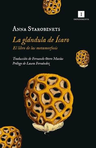 LA GLÁNDULA DE ÍCARO | ANNA STAROBINETS