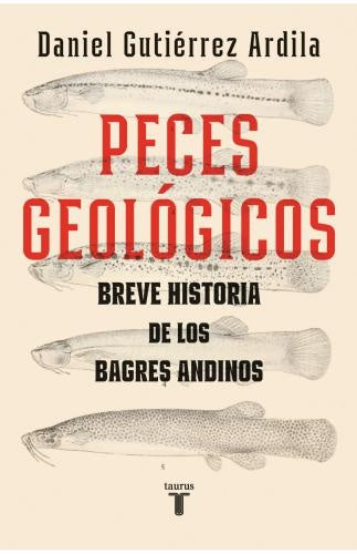 PESES GEOLOGICOS | DANIEL GUTIERREZ ARDILA