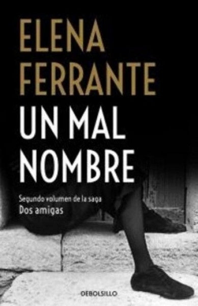 DOS AMIGAS II. UN MAL HOMBRE | FERRANTE ELENA