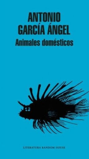 ANIMALES DOMÉSTICOS | ANTONIO GARCÍA ÁNGEL